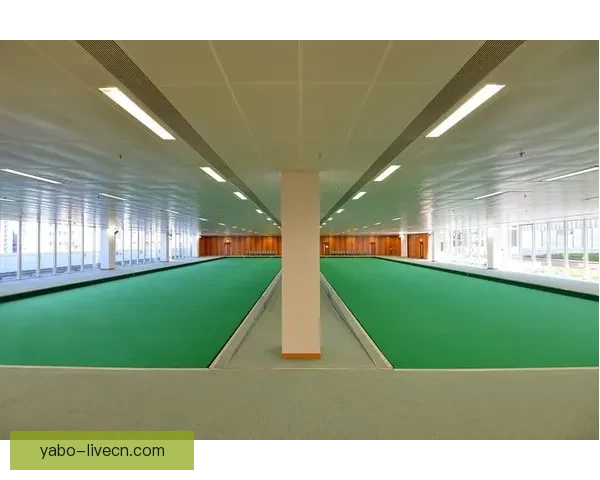 亚博体育滚球平台最新动态与玩法解析,带你领略不一样的体育博彩体验 亚博体育滚球平台最新动态与玩法解析,带你领略不一样的体育博彩体验