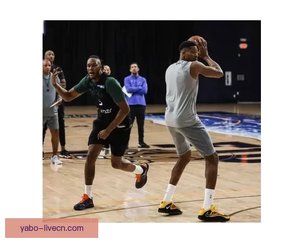 字母哥拒绝参加雄鹿3对3对抗训练 但仍愿复出参赛引发关注 字母哥拒绝参加雄鹿3对3对抗训练 但仍愿复出参赛引发关注