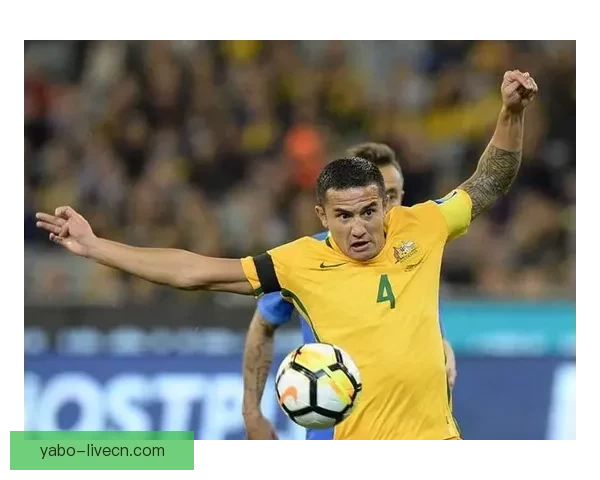 深度解析2026世界杯盘口走势与投注技巧及球队实力全面前瞻分析