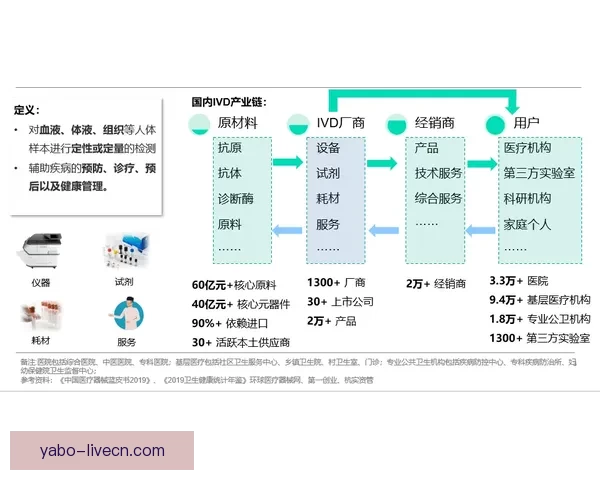 世界杯在线投注趋势解析与安全策略全面指南分享及平台选择技巧深度剖析
