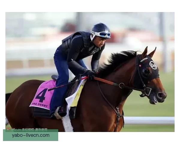 深度解析2026世界杯盘口走势与投注技巧及球队实力全面前瞻分析